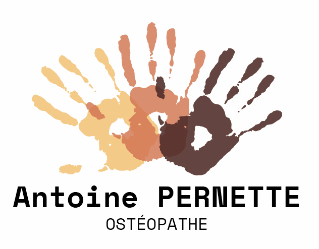 osteopathe saint didier