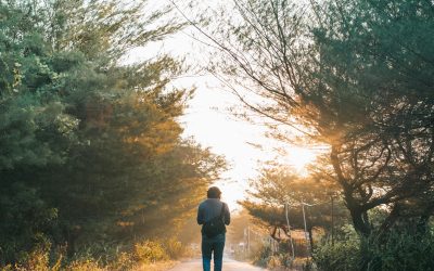 Mieux que le sport : l’importance du mouvement au quotidien
